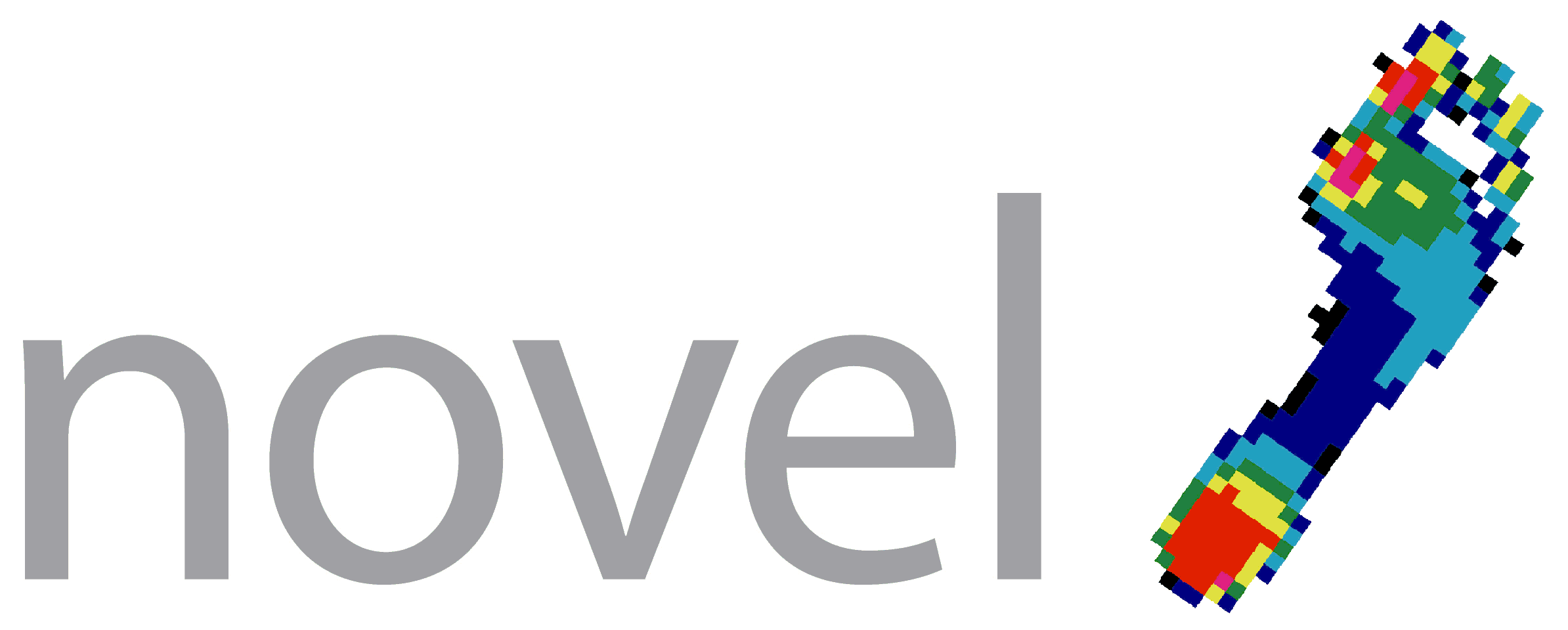 Novel Electronics Inc